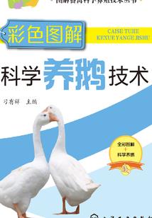 相倾以墨