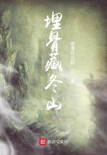 王爷太宠妃