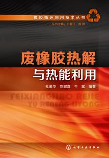 窃夺者的进化