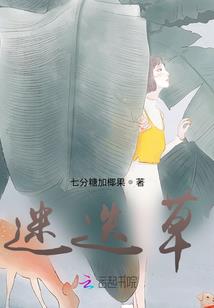 书里的落叶