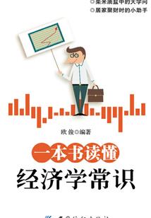 梦之完美人生