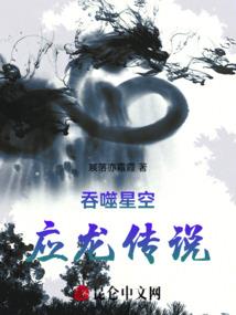 浪子小佳传奇