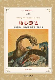 无敌丑妃
