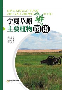 只是一只猫