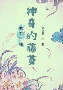 铁血孤狼