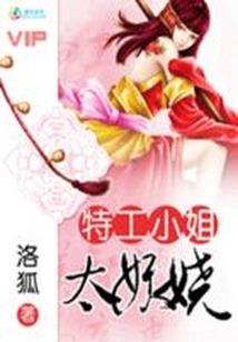 网游之天盟传说