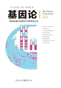 冥途之生死朦胧