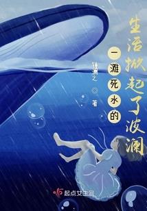 逃嫁之倾城为妃