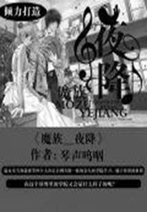 暗与灵之舞