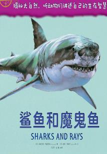 打造完美男人