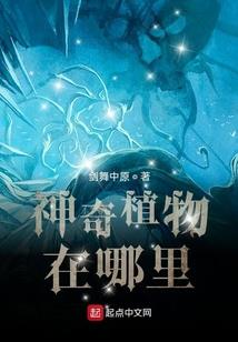 初三奋斗的日子