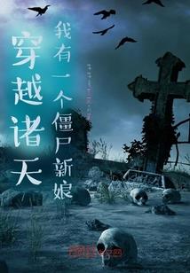 系统支配者