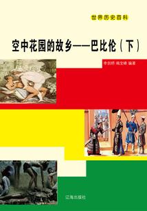 风云舞苍穹