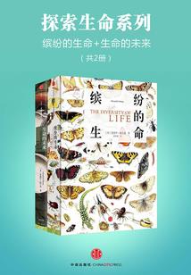 我是你的逻辑咖