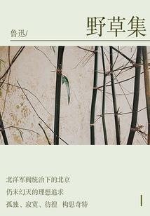 一往如初不再枉负