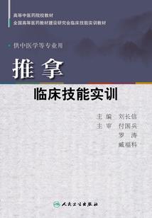 天诏逐鼎传记