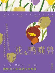 青玄铭