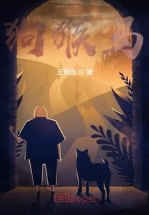 极制服测试