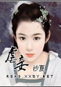 阴阳先生之冉冉红尘
