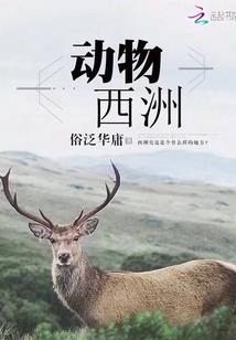 隐世之恋：绝色医妃