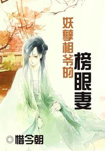 云游大千界
