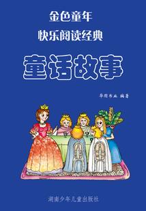 歆世锦瑟迷流年