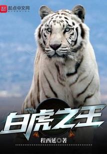 杀手之荒原