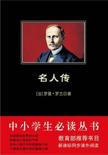 缉拿特工老婆