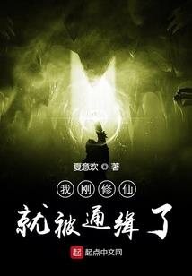 总裁禁爱：替身夫人是狗仔