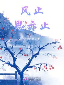 顶尖黑客成长记