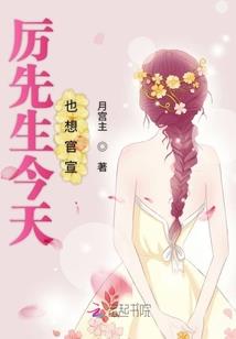仲夏与猫