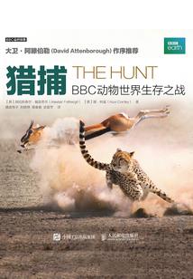 漂流瓶请给我