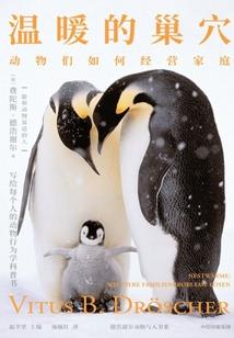 火影之终极分析
