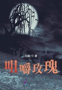 我浪漫的青春